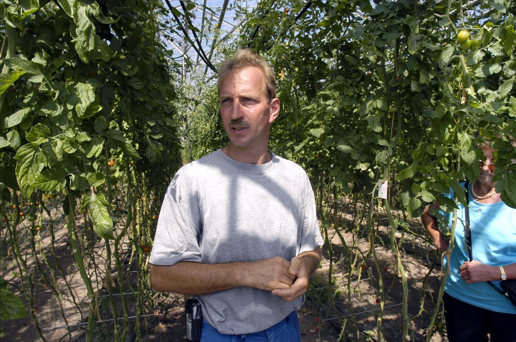 HERTENSTEIN/LU, 22. JULI 2003 - GENOSSENSCHAFT MIGROS LUZERN GMLU - LIEFERANT MIGROS AUS DER REGION ADR - BETRIEBSRUNDGANG BEI GEMUESEPRODUZENT THOMAS ZURMUEHLE, ZINNENSTRASSE 4, 6353 HERTENSTEIN: Thomas Zurmuehle mit Migros-Kunden bei Betriebsbesichtigung inmitten von Tomaten und Gurken. Landwirtschaft, Gaertnerei, Gemuesegaertner. ths/COPYRIGHT BY: E.T.STUDHALTER / GMLU